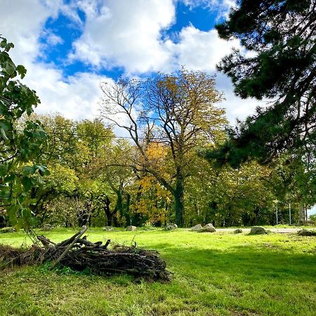 Gite De Corsas Saint-Victor  Bagian luar foto