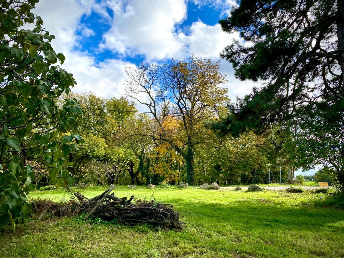 Gite De Corsas Saint-Victor  Bagian luar foto